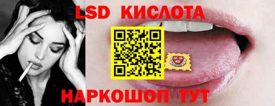 крисы Камышлов