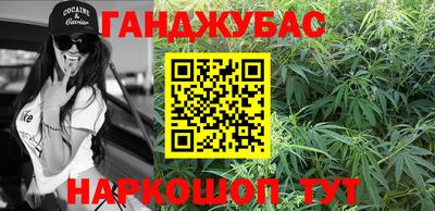 крисы Камышлов