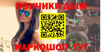 крисы Камышлов