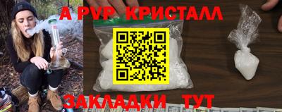 крисы Камышлов